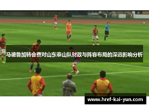 马德鲁加转会费对山东泰山队财政与阵容布局的深远影响分析