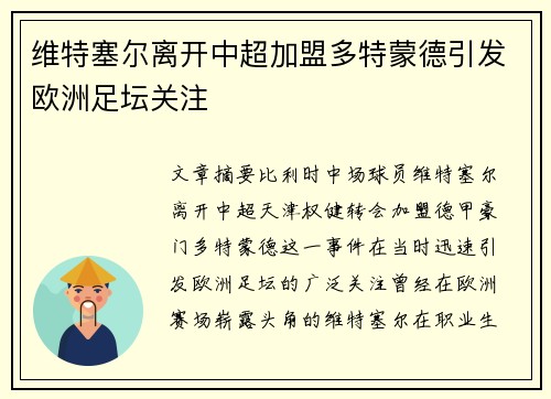 维特塞尔离开中超加盟多特蒙德引发欧洲足坛关注